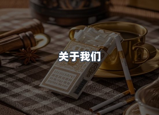 专业团队